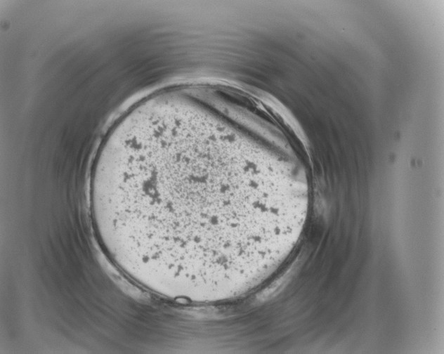 X0000086031388200704201935