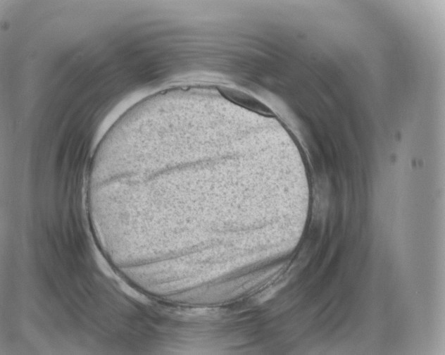 X0000086031390200704201935