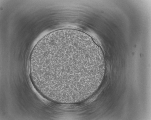 X0000086031391200704201935