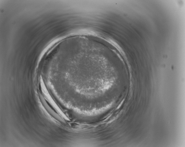 X0000086031392200704201935