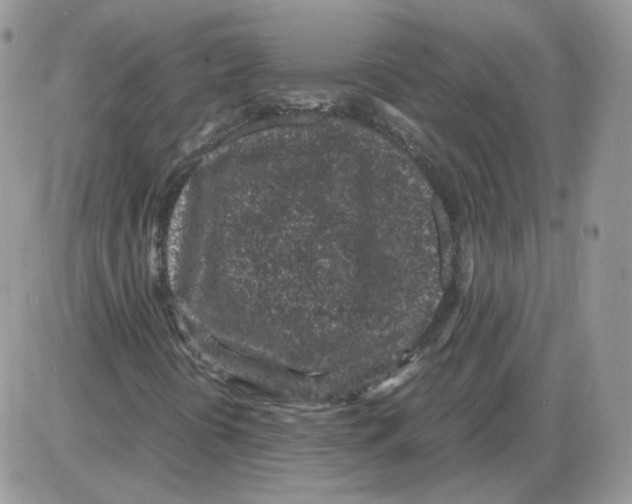 X0000086031394200704201934