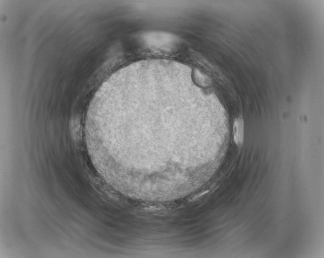 X0000086031395200704201934