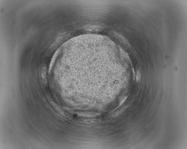 X0000086031396200704201934