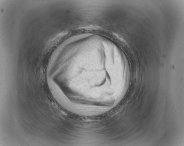 X0000086031398200704201934