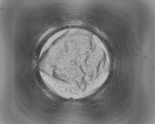 X0000086031400200704201934