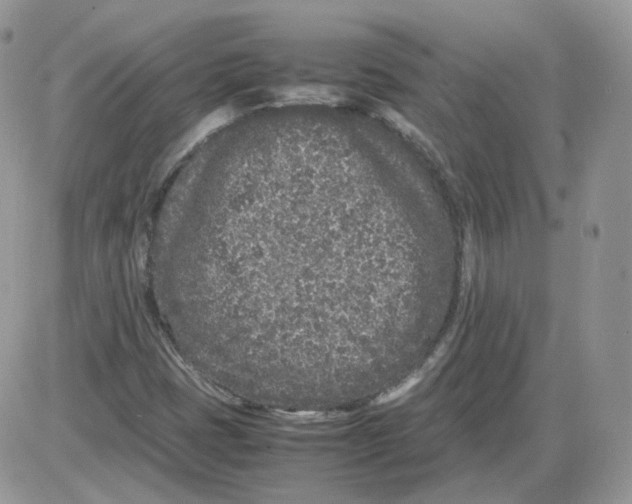 X0000086031401200704201934