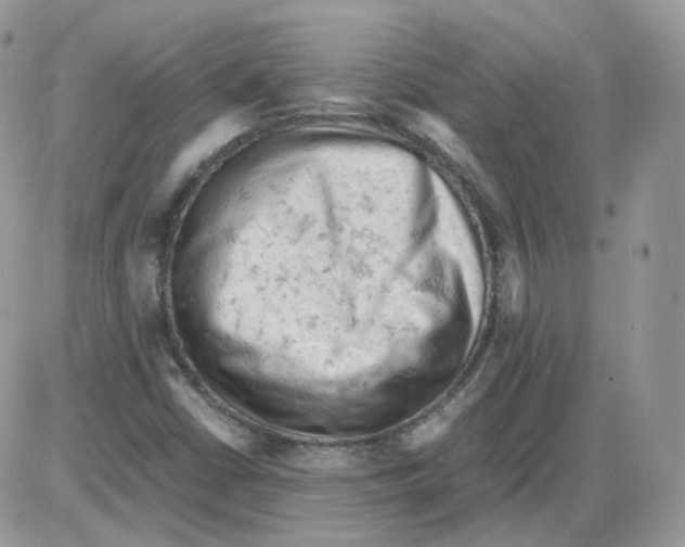 X0000086031402200704201934