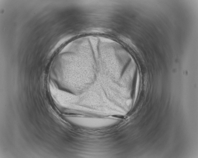 X0000086031404200704201935