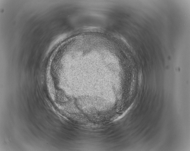 X0000086031405200704201935