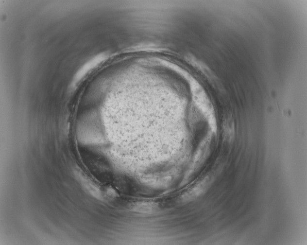 X0000086031406200704201935