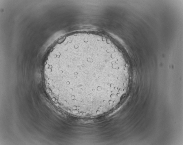 X0000086031407200704201935