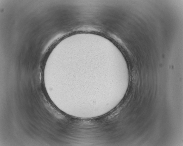 X0000086031408200704201935