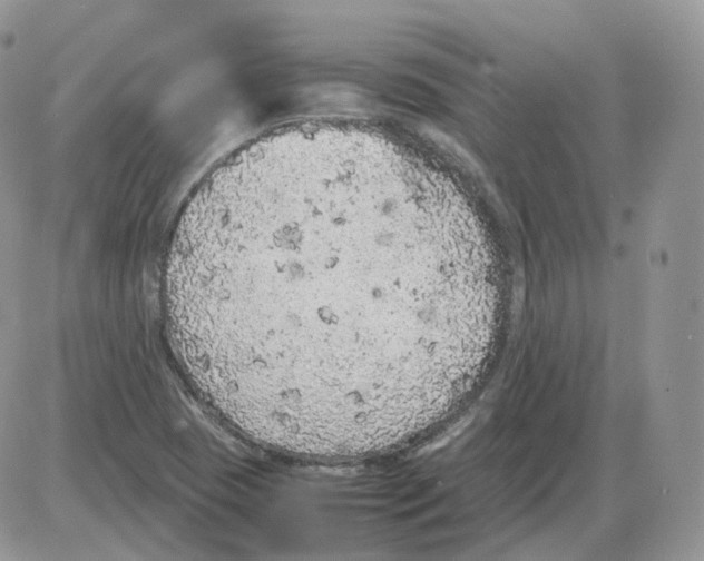 X0000086031409200704201935