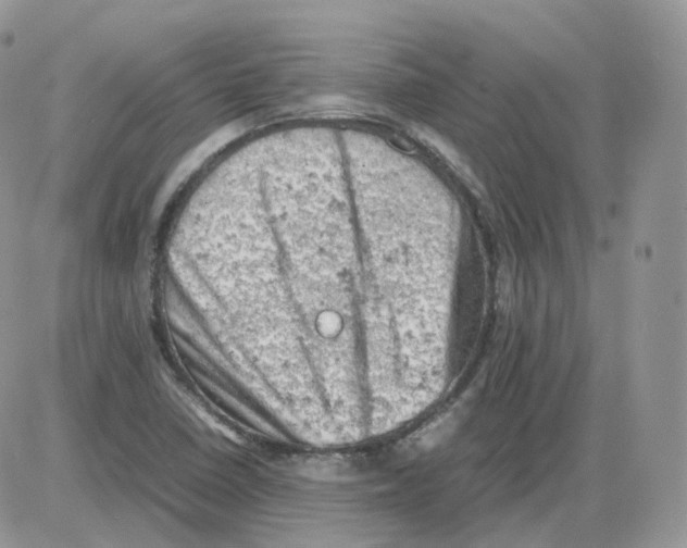 X0000086031410200704201935