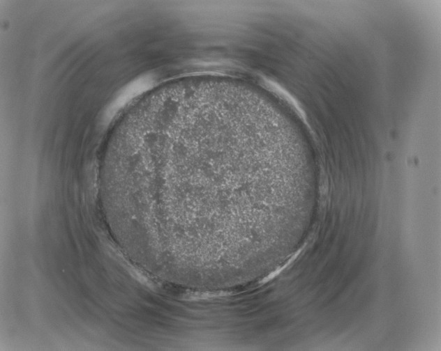 X0000086031411200704201935