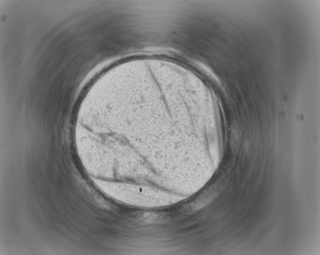 X0000086031412200704201935