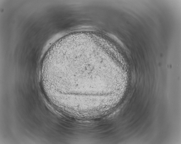 X0000086031413200704201935