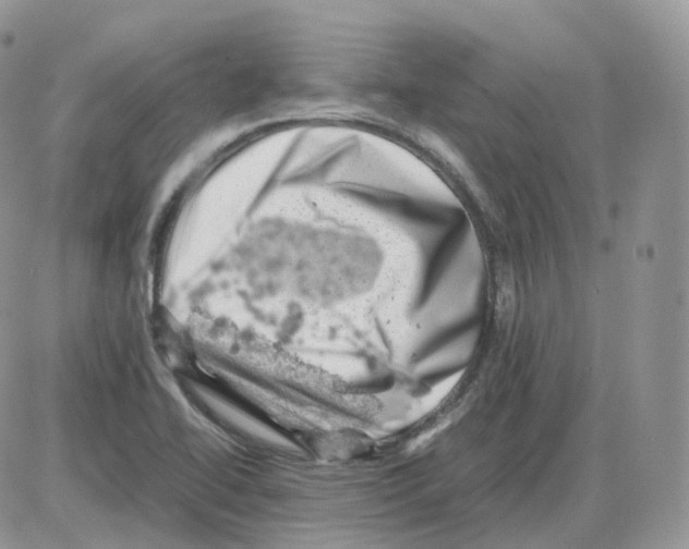 X0000086031414200704201935