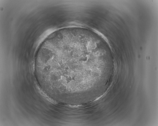 X0000086031415200704201935