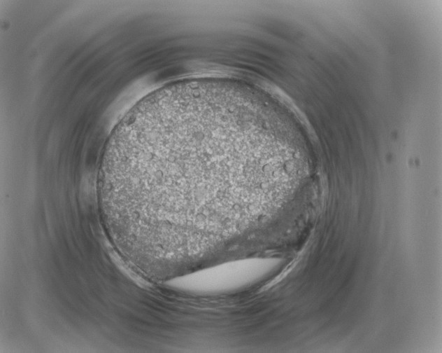 X0000086031417200704201935