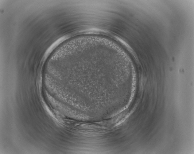 X0000086031418200704201935