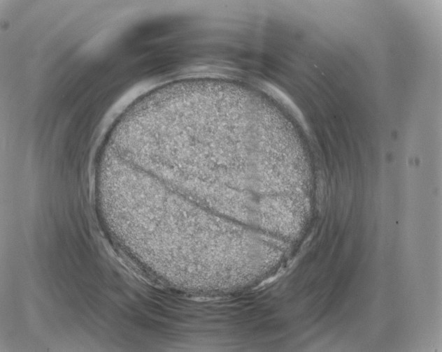 X0000086031419200704201935