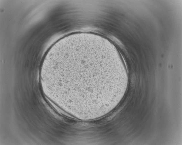 X0000086031420200704201935