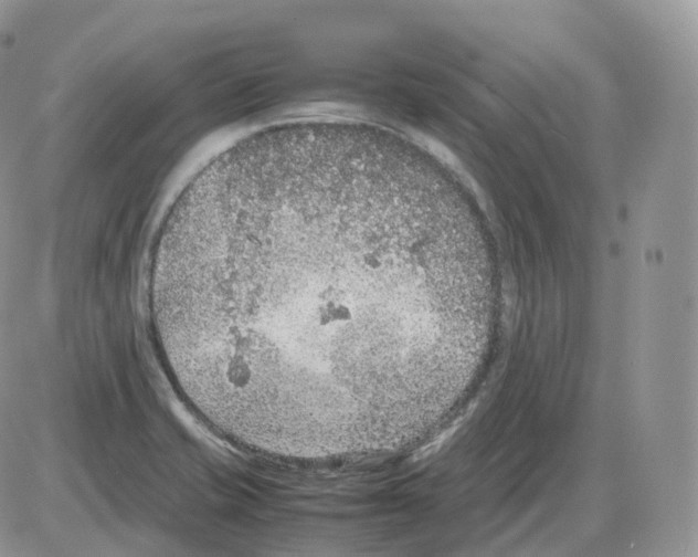 X0000086031421200704201935