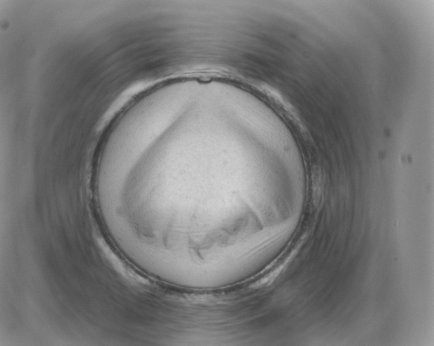 X0000086031422200704201935