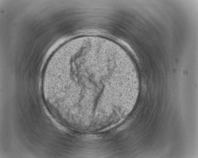 X0000086031424200704201935