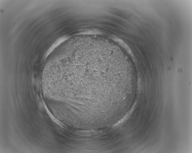 X0000086031425200704201935