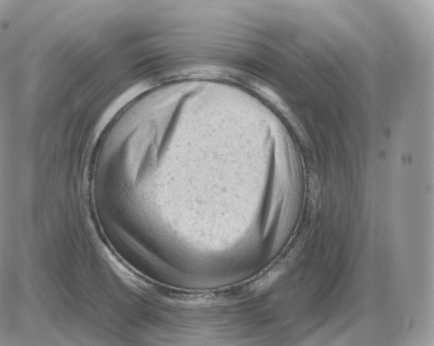 X0000086031426200704201935