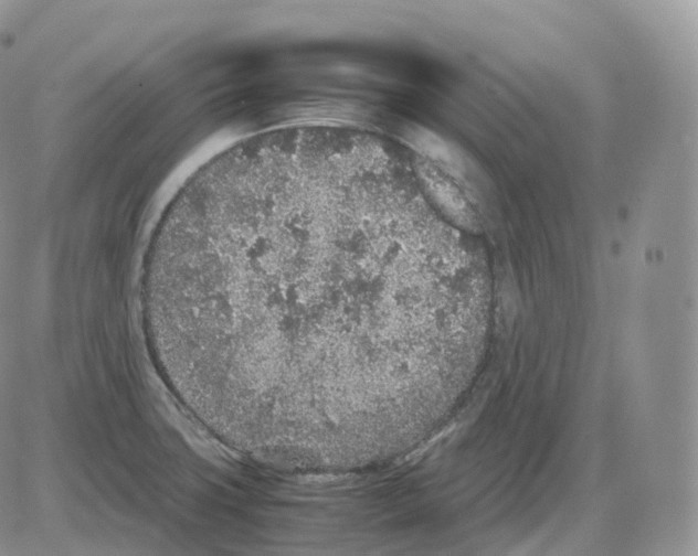 X0000086031427200704201935