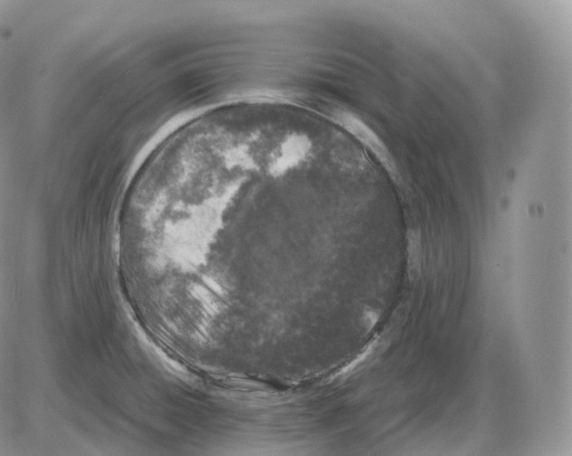 X0000086031428200704201935