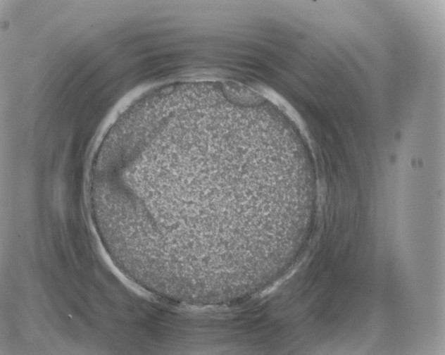 X0000086031429200704201935