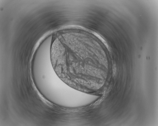 X0000086031430200704201935