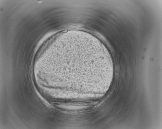 X0000086031432200704201935