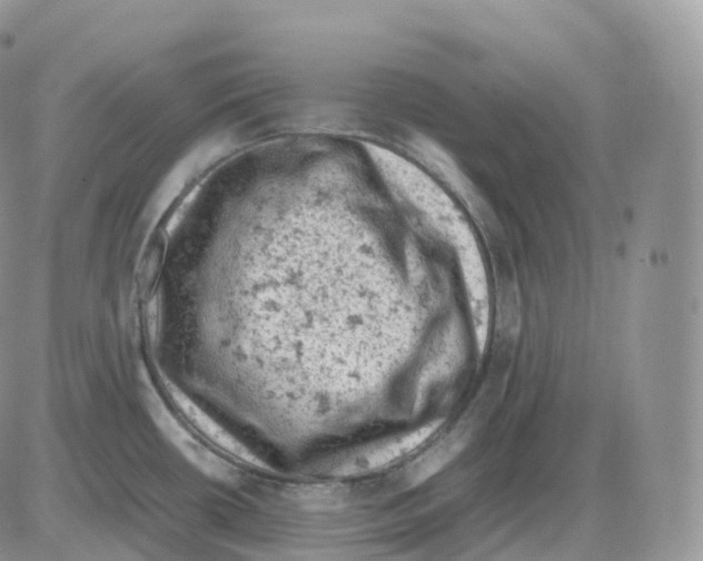 X0000086031434200704201935