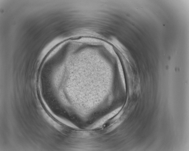 X0000086031438200704201935