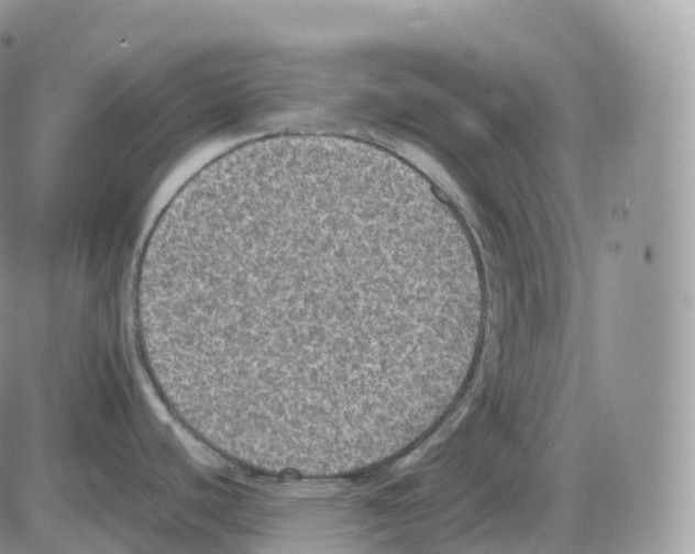 X0000086031440200704201935