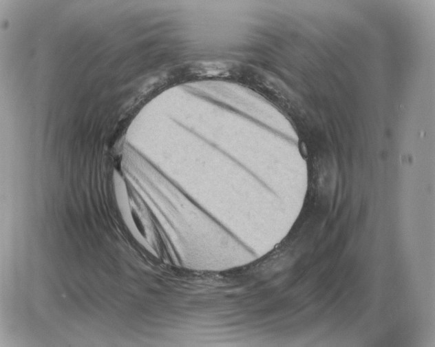 X0000086031442200704201934