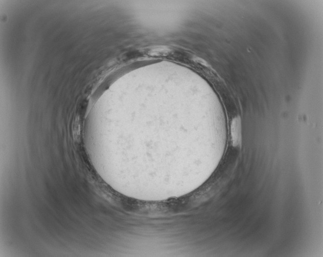 X0000086031443200704201934