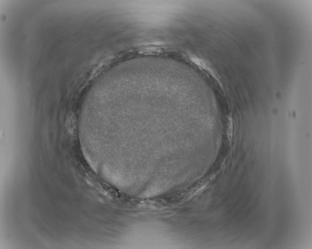 X0000086031445200704201934