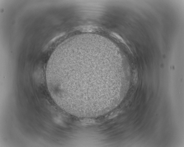 X0000086031446200704201934