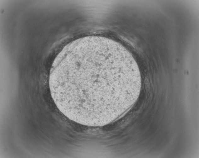 X0000086031447200704201934