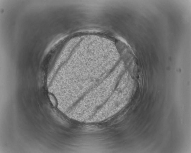 X0000086031448200704201934