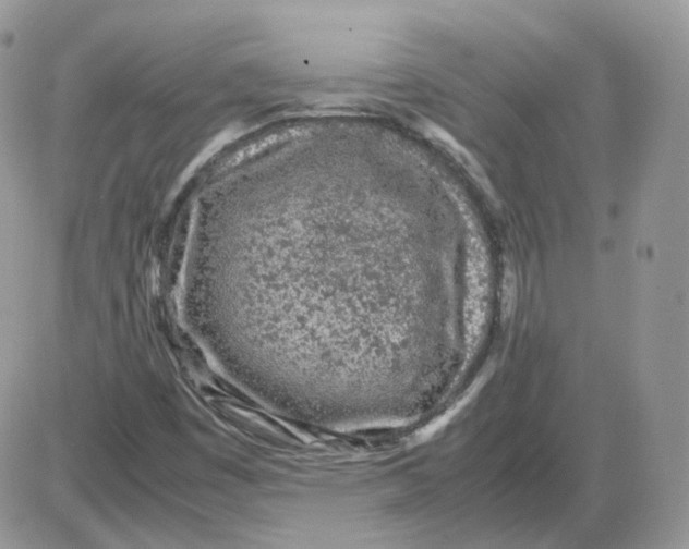 X0000086031449200704201934