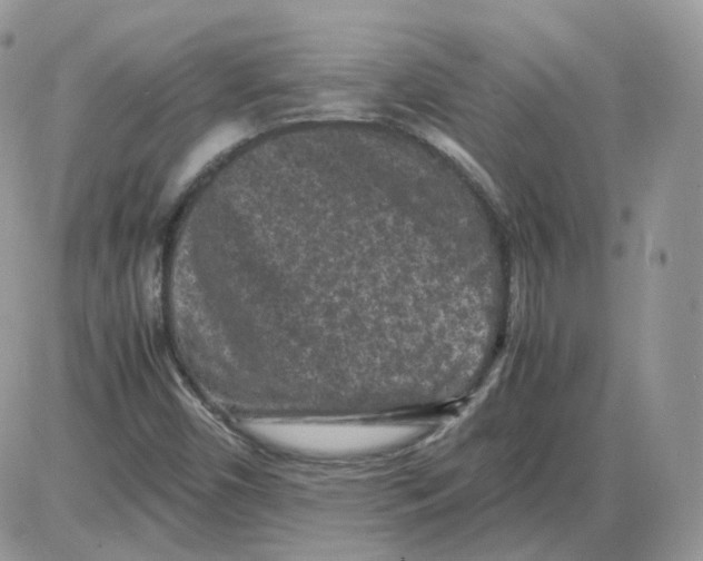 X0000086031450200704201934