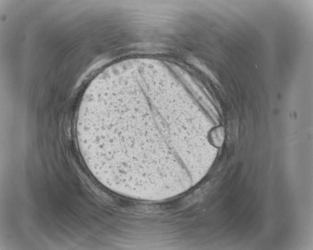 X0000086031451200704201934