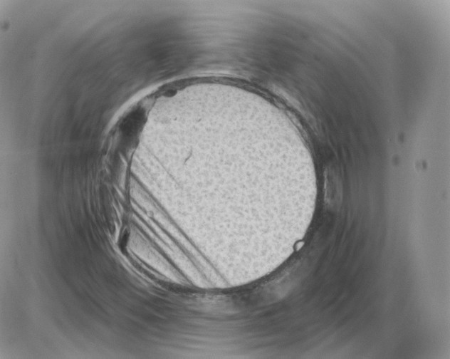 X0000086031452200704201934